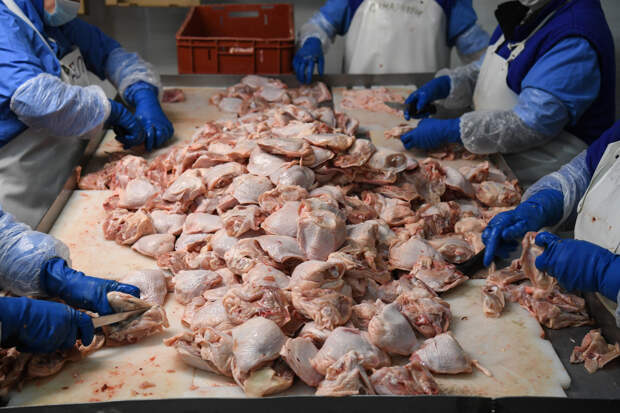 Производство одного вида мяса в России побило рекорд