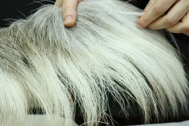 Ямальские мастерицы вышили оленьими жилами Арктический регион для карты России