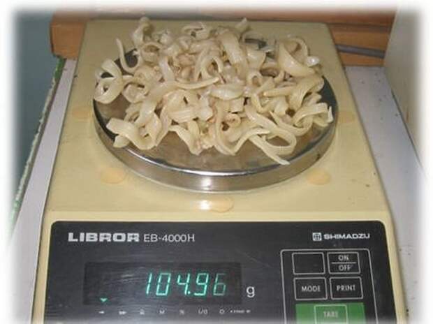 Лигулы на лабораторных весах. Фото автора. 