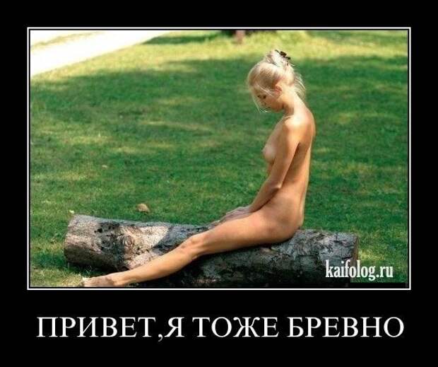 на бревне (580x486, 48Kb)