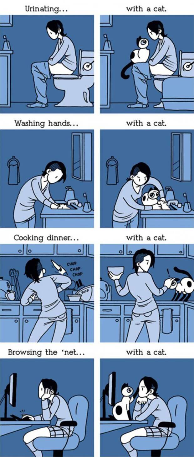 Cat Comics