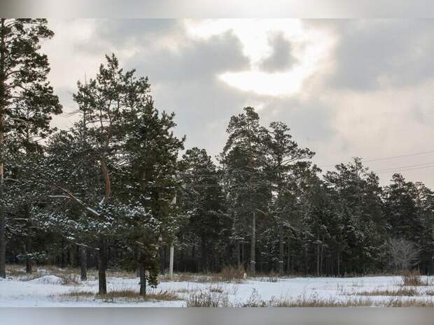9 декабря в Забайкальском крае ожидается снег