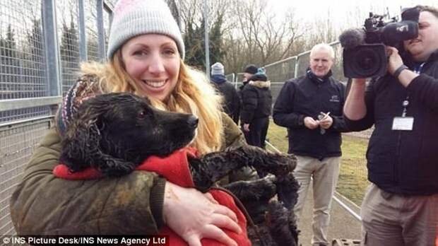 Три дня спасательные службы в Великобритании боролись за жизнь пса