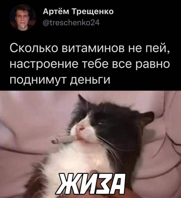 Смешные картинки 9 декабря 2021 года