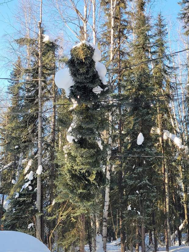 Неприятности случаются
