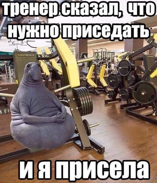 Самый злой пост о тех, кому не хватает мотивации для занятий спортом Самый злой пост о тех, кому не хватает мотивации для занятий спортом