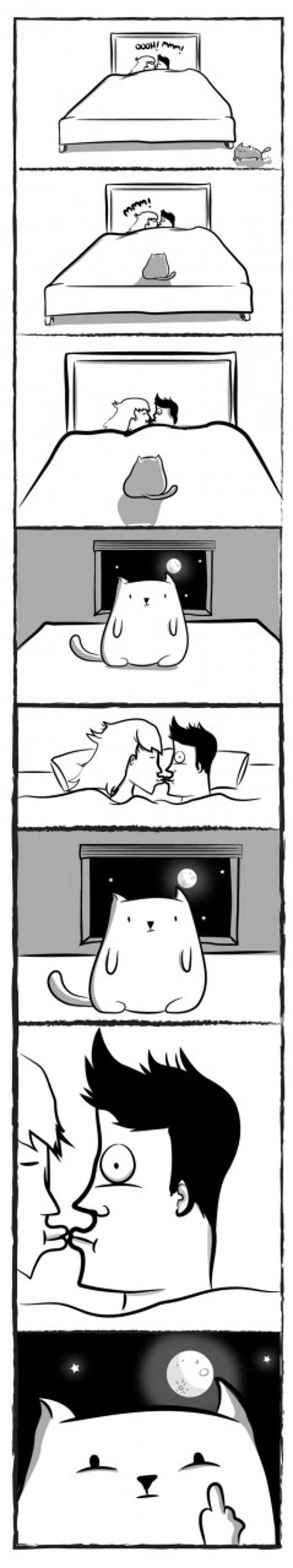 Cat Comics