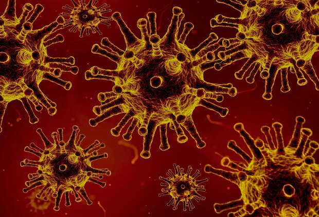 За сутки медики выявили в Крыму 125 новых коронавирусников