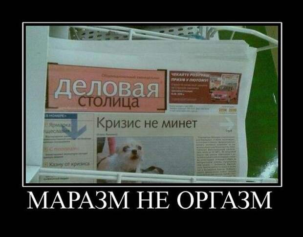 Демотиваторы демотиваторы, прикол, юмор