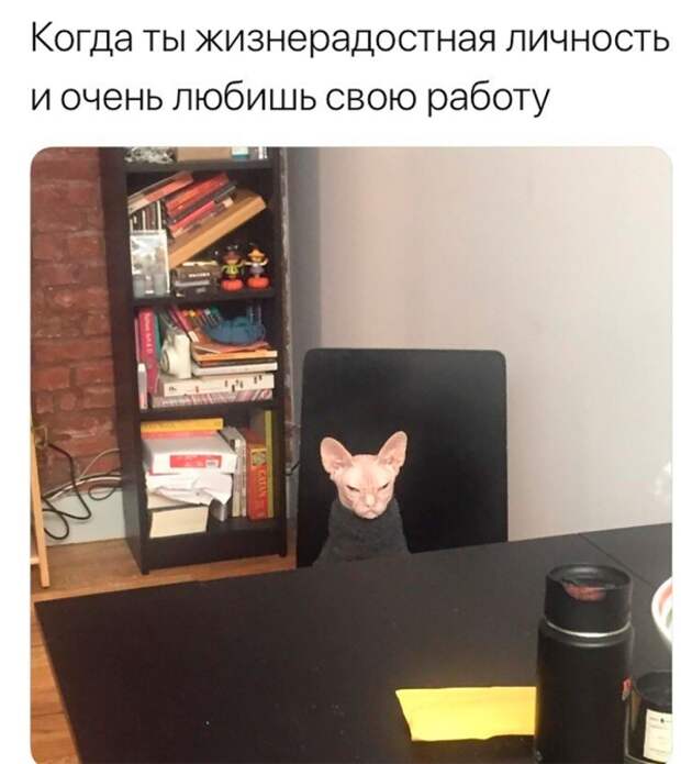 www.vsyako.net
