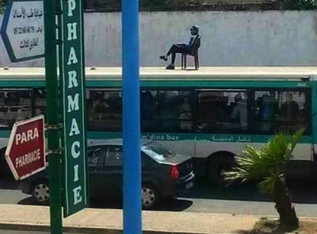 Незаурядный пассажир на крыше. Незаурядный пассажир на крыше.