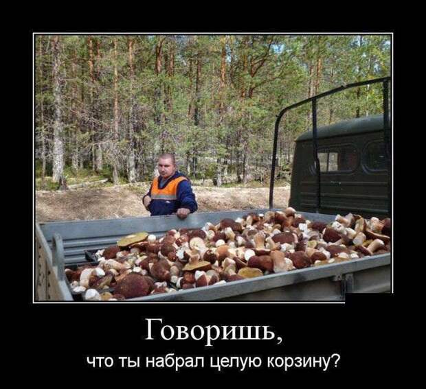 Демотиваторы смех, демотиваторы, прикол, юмор