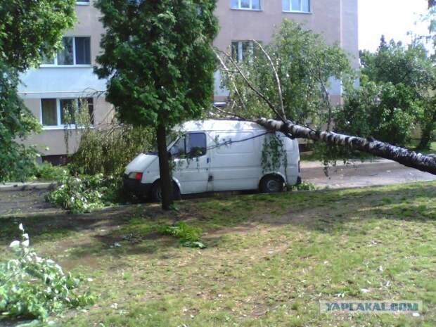 Тачки разбитые ураганом в Минске сегодня. Оригинальные отборные фото!