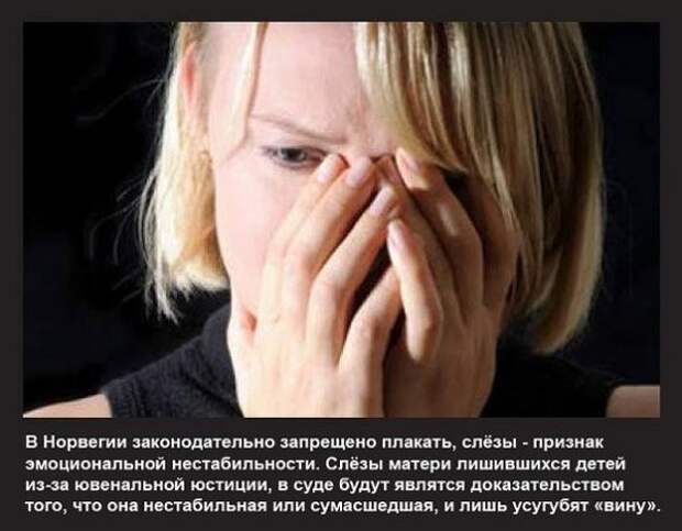 NEW - Деграклассники - 27
