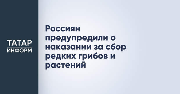 Россиян предупредили о наказании за сбор редких грибов и растений