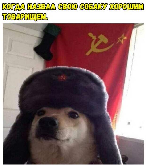 Свежие фотомемы на Бугаге (24 шт)