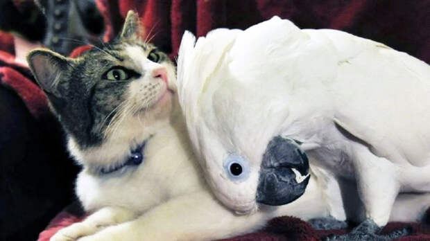 Десять лет жизни