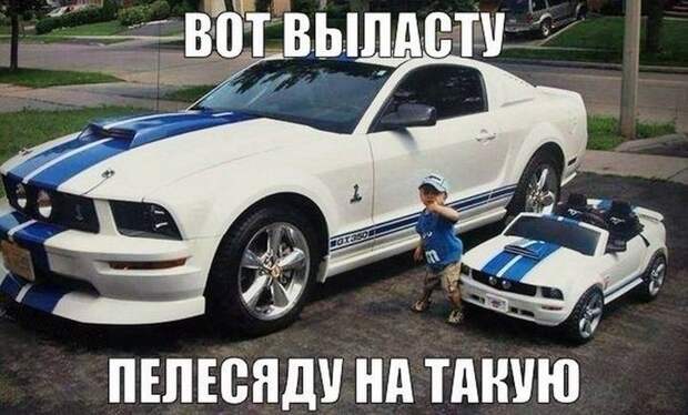 автоприколы