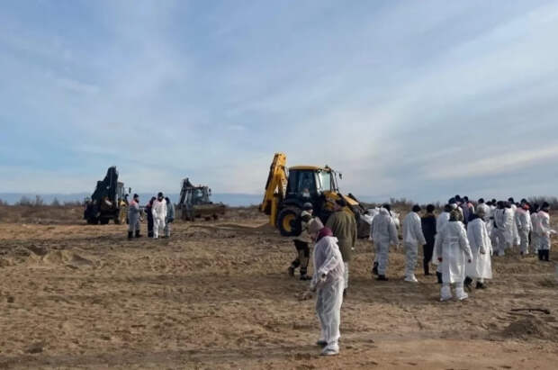 Ученый Алемов заявил об отсутствии новых следов мазута в Черном море