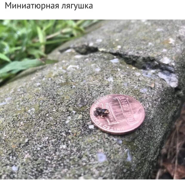 Занимательные фото-сравнения, которые открывают новый взгляд на мир Сравнение, Было-Стало, Фотография, Жизнь, Прошлое, Настоящее, Интересное, Длиннопост