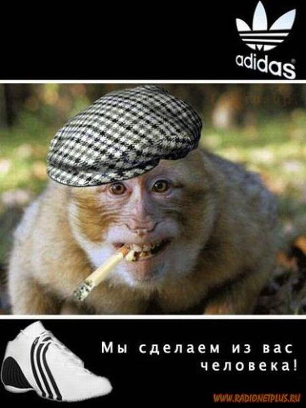 Улыбнись :) (29фото)