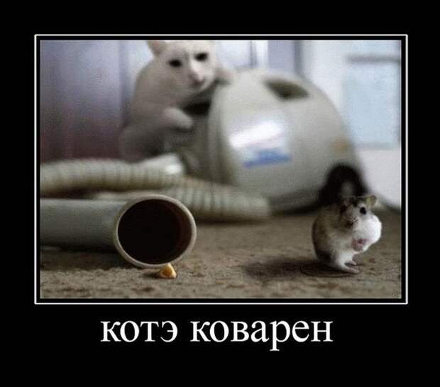 Демотиваторы (30 фото)