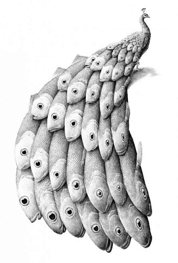 a3c5f658371803.59f9cd32467fc.jpg a3c5f658371803.59f9cd32467fc.jpg