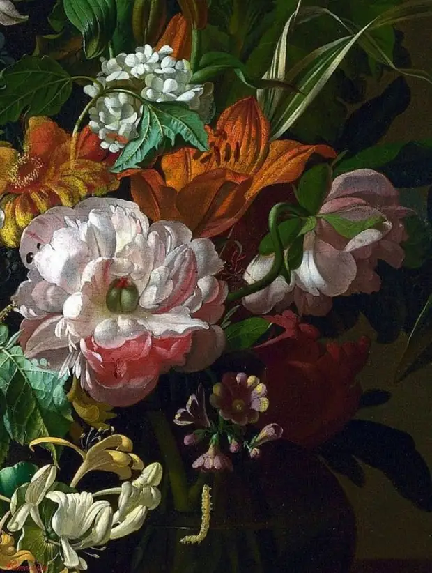  Rachel Ruysch (1664  1750).   