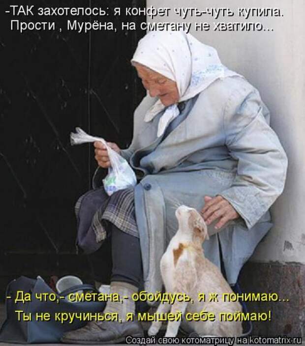 Котоматрицы(картинки с надписями)