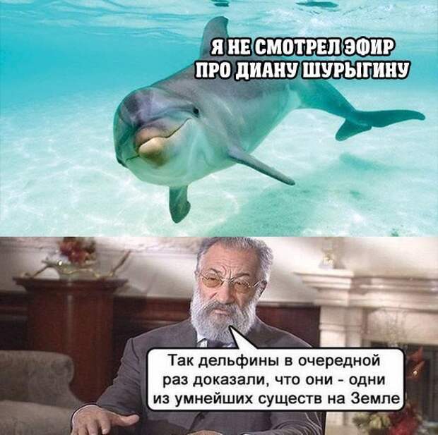 Смешные картинки с надписями картинки, картинки с надписями, юмор