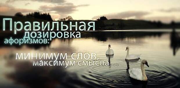 Полезные цитаты на все случаи жизни (64 картинки)