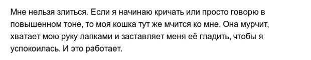 Забавные привычки наших любимых питомцев Забавные привычки наших любимых питомцев
