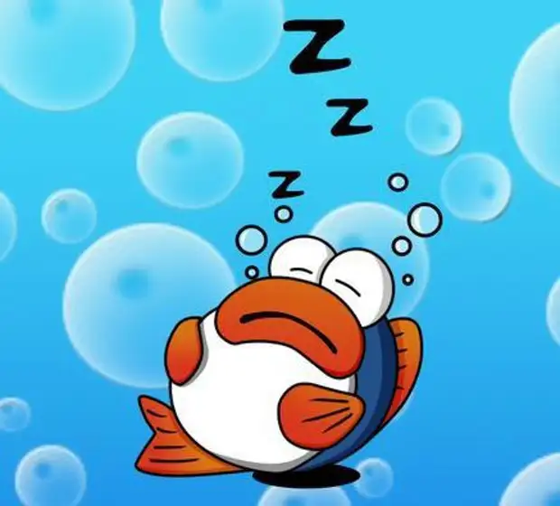 Рыбы спят ночью