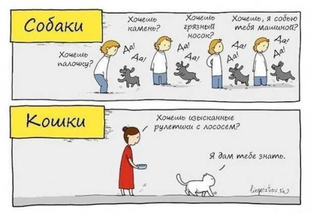 Прикольные картинки (58 шт)