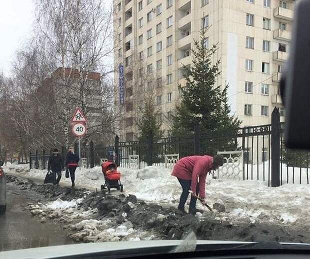 Картинки, юмор, приколы