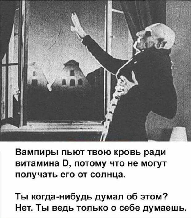 Прикольные картинки Прикольные картинки
