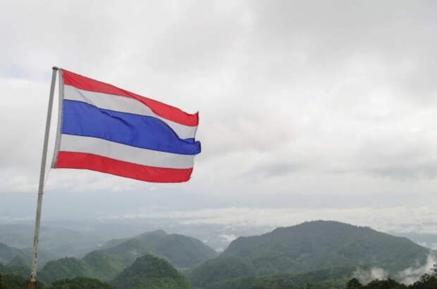 В Таиланде задержали двух россиян за торговлю галлюциногенными грибами