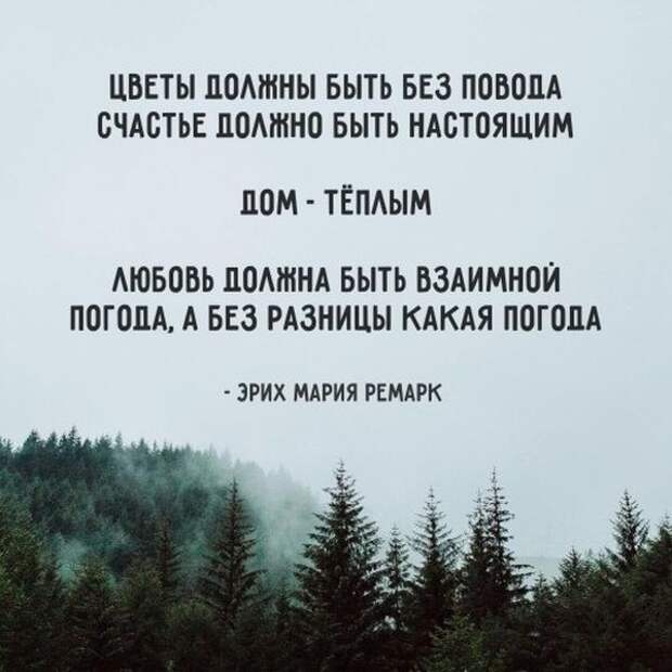 Прикольные картинки. Дневной выпуск (50 фото)