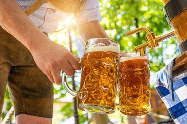 Хмель назван перспективным средством для улучшения жирового обмена