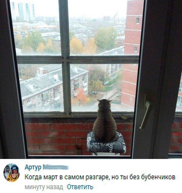 Паранормальных пикч