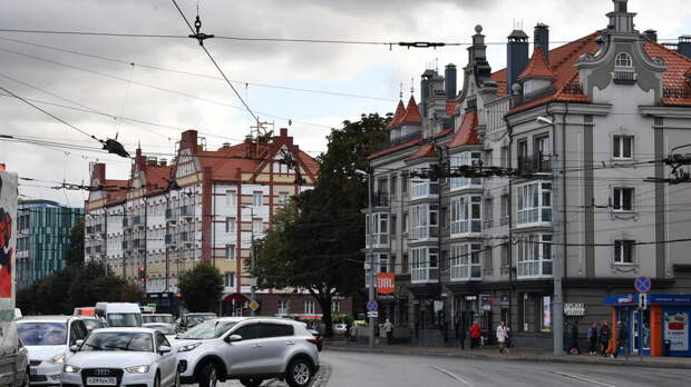 Мединский призвал убрать германские элементы с геральдики Калининграда