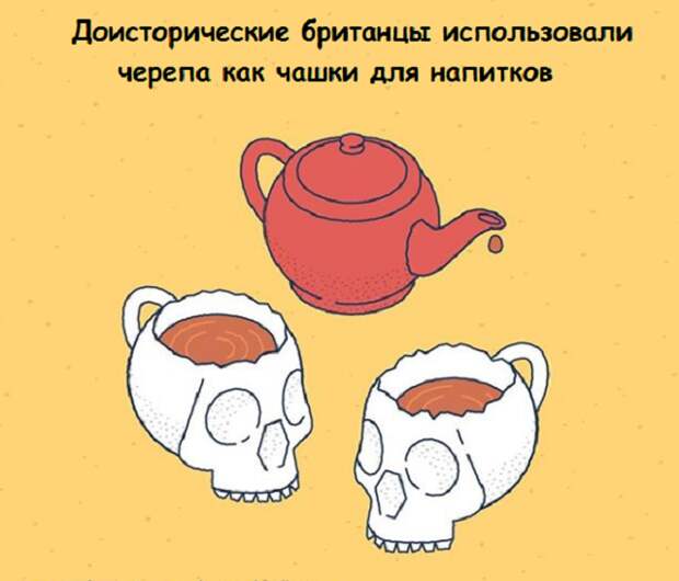www.vsyako.net