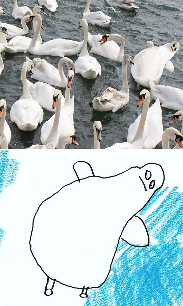 kid-drawings-things-i-have-drawn-dom-28-580e037376107__700