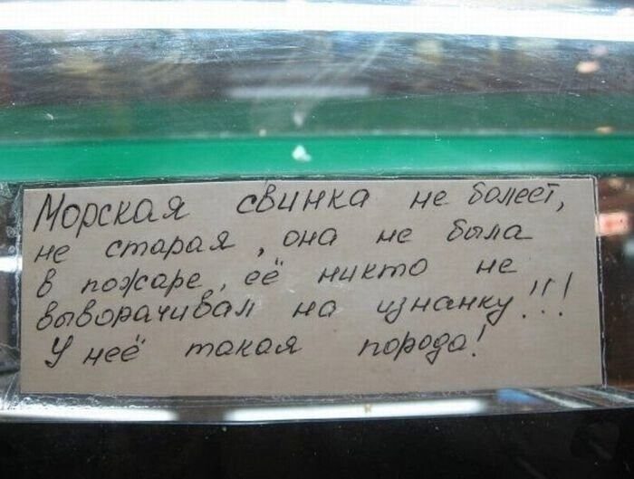 Убойные объявления из России