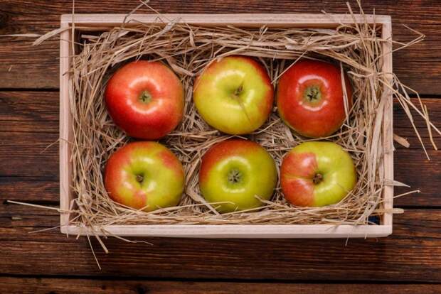 Результат пошуку зображень за запитом Подготовка яблок к хранению"