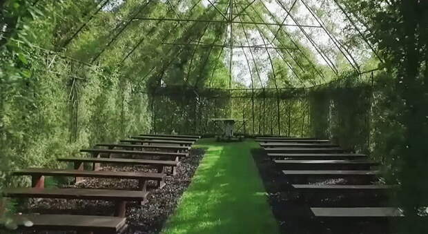 Церковь из живых деревьев, построенная простым фермером