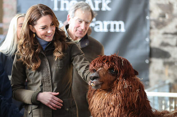 Кейт Миддлтон посетила ферму в Северной Ирландии