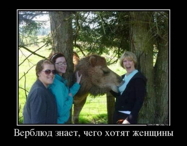 Новые демотиваторы для всех (14 шт)