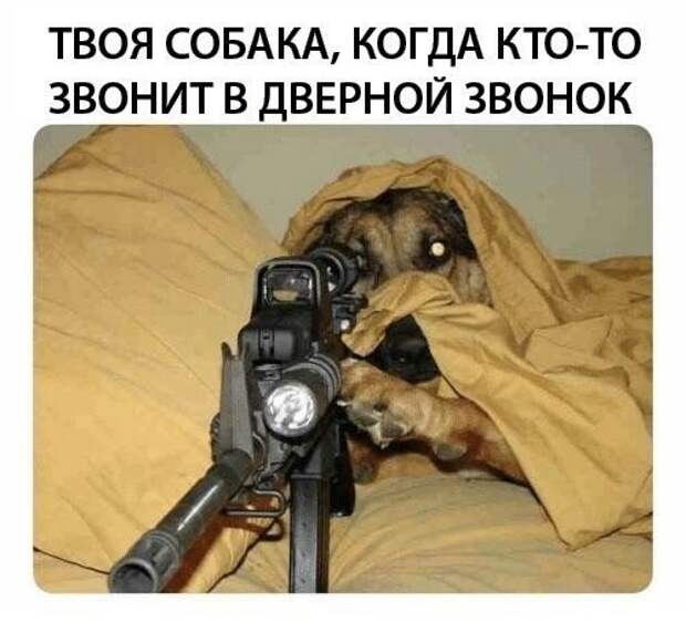 До связи картинка смешная