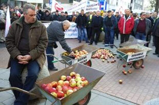 Фермеры и садоводы Польши на акции протеста в Варшаве